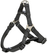 Schwarzes Hundegeschirr aus verstellbarem Nylon mit Metallringen und Kunststoffverschluss.