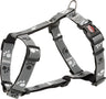 PHO_PRO_CLIP_SilverReflect-12231-12232-12233-12234-2