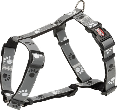 PHO_PRO_CLIP_SilverReflect-12231-12232-12233-12234-2