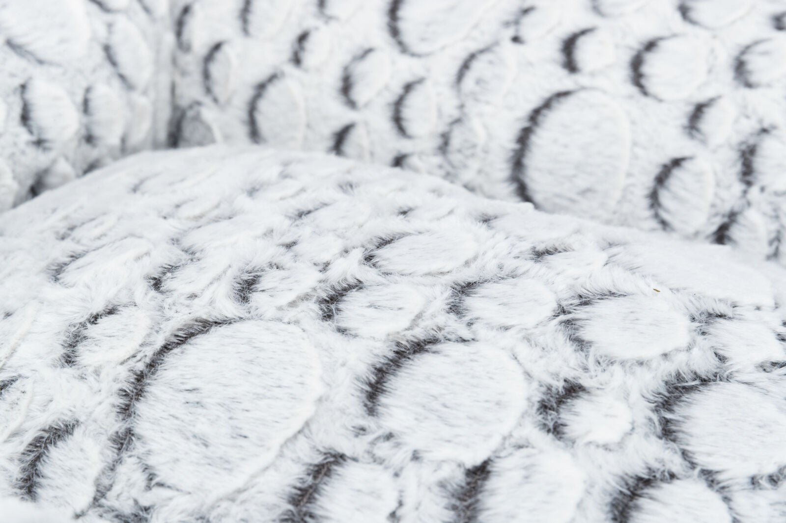 PHO_PRO_DET_38981-38982-38983-38984-3