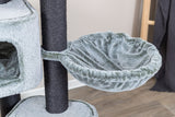 PHO_PRO_DET_48110-1