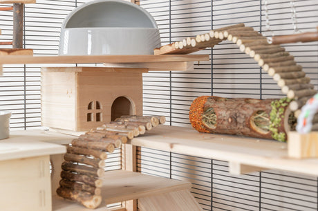 Holzhaus und Rampen in einem Käfig mit Tunnel aus Zweigen und Heu, Schalen und Brücke auf zwei Ebenen.