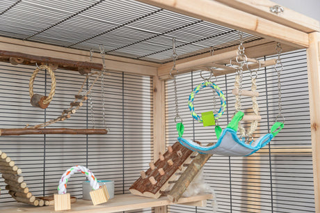 Holzrahmenkäfig mit Hängespielzeug und Holzleitern, geflochtenem Seil und einer blauen Hängematte.