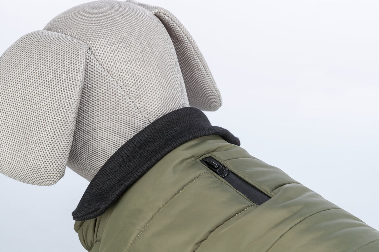 Stofftier in grauer Struktur, trägt eine khakifarbene Hundejacke mit schwarzem Kragen und Reißverschluss.