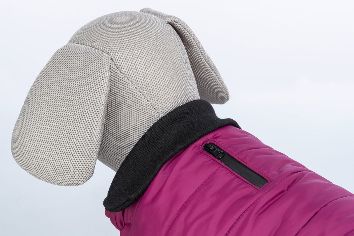 Stoffmodell eines Hundes mit einem lila Hundemantel mit Reißverschluss und schwarzem Kragen.