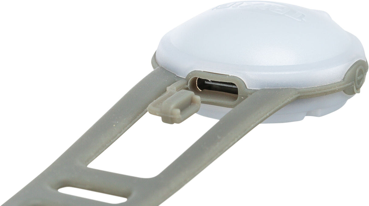 USB Flasher für Hunde