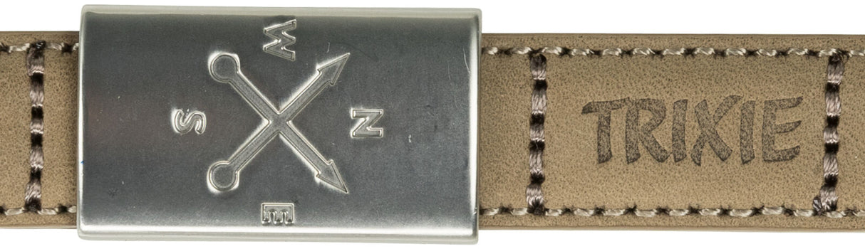 Rechteckige Metallschnalle mit eingravierten Buchstaben und Symbolen, an beigem, genähtem Lederband mit Schriftzug "Trixie".