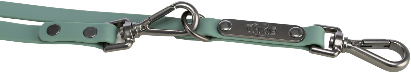 Grüne Hundeleine mit silbernen Metallverschlüssen und einem Logoaufdruck auf rechteckiger Metallplatte.