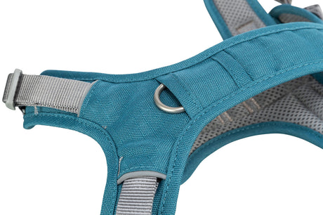 Blaues Geschirr mit silberner Schnalle und grauen Riemen, Nahaufnahme von Textur und Details.