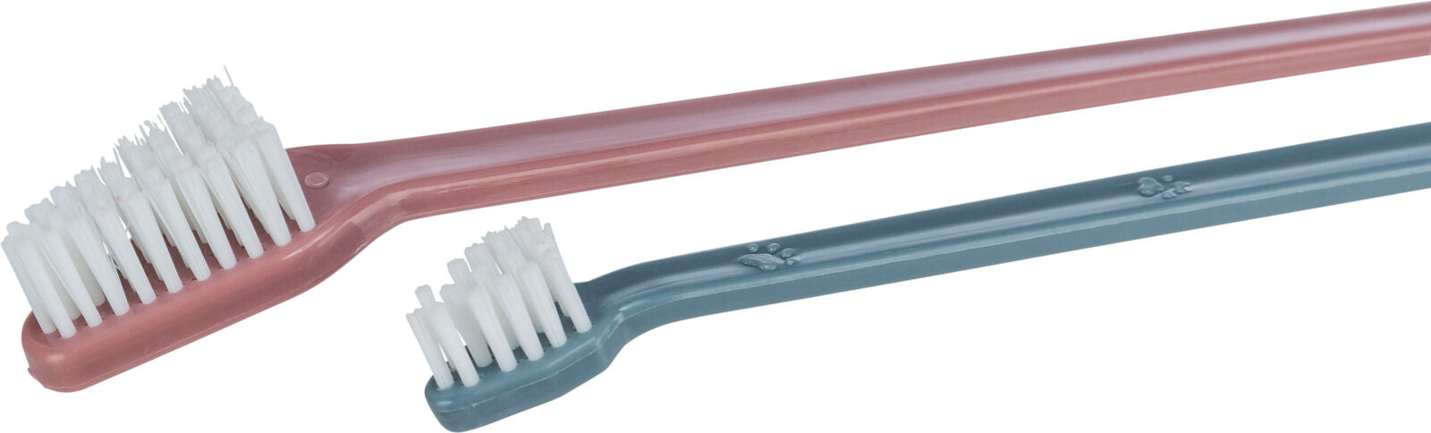 Zwei Zahnbürsten mit weißen Borsten, eine in Rosa, die andere in Blau, mit Pfotenabdrücken am Griff.