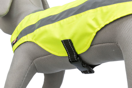 Graues Modell mit gelber, reflektierender Hundeweste und schwarzer Schnalle auf weißem Hintergrund.