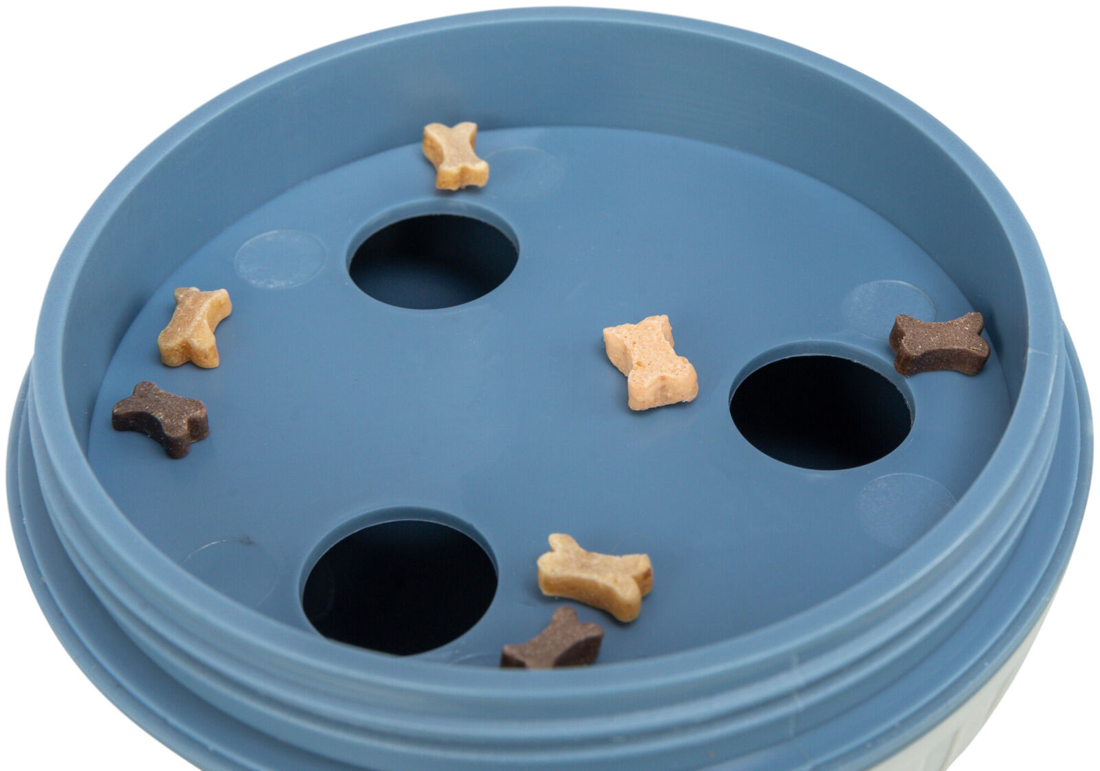 Runde blaue Scheibe mit mehreren Löchern darauf, umgeben von kleinen, knochenförmigen Leckerli in verschiedenen Farben.