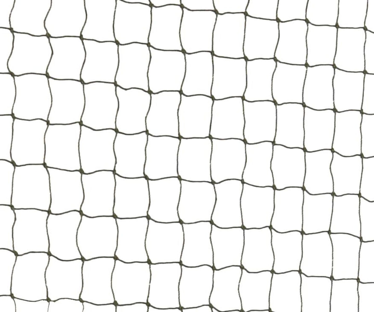 Ein quadratisches Netz mit schwarzem Rahmen vor weißem Hintergrund, gleichmäßig verteilte Maschen.