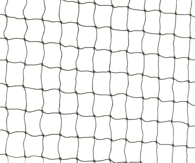 Ein quadratisches Netz mit schwarzem Rahmen vor weißem Hintergrund, gleichmäßig verteilte Maschen.