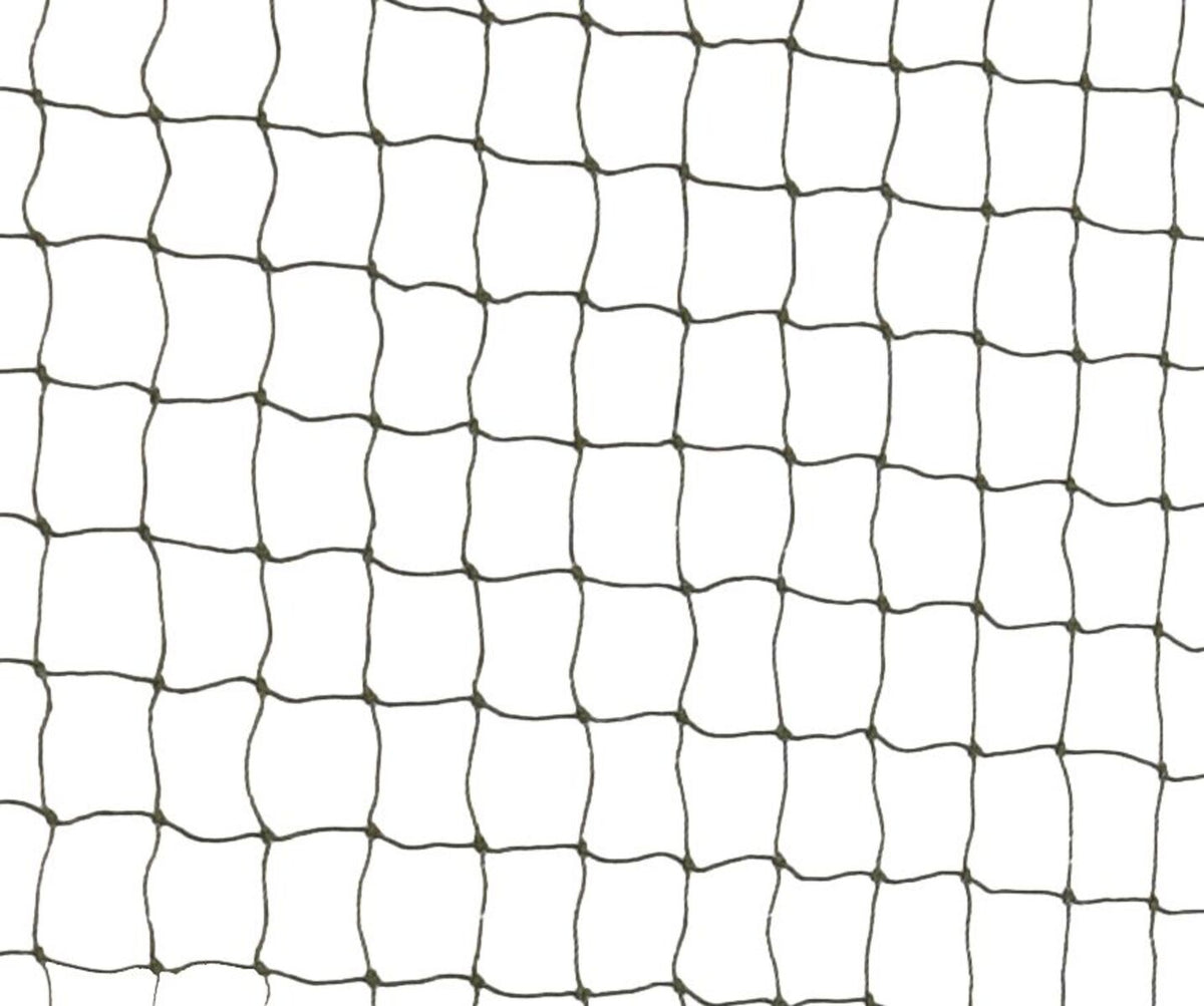 Ein quadratisches Netz mit schwarzem Rahmen vor weißem Hintergrund, gleichmäßig verteilte Maschen.