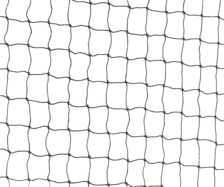 Ein quadratisches Netz mit schwarzem Rahmen vor weißem Hintergrund, gleichmäßig verteilte Maschen.