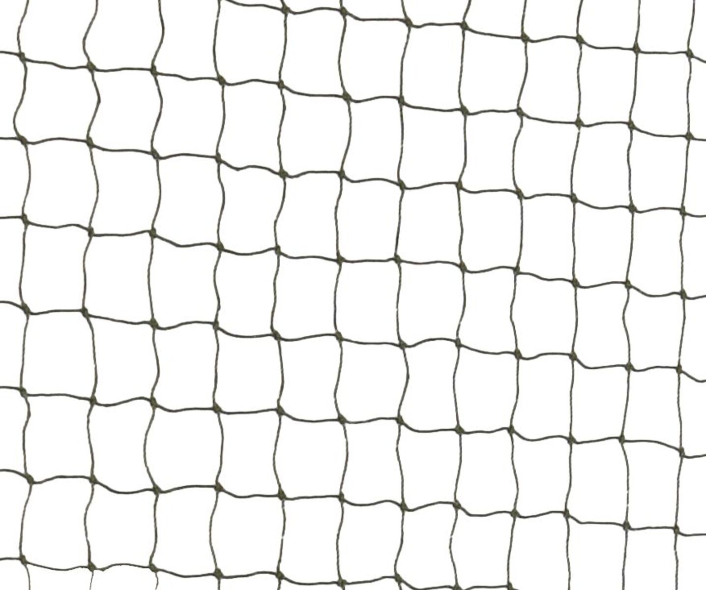 Ein quadratisches Netz mit schwarzem Rahmen vor weißem Hintergrund, gleichmäßig verteilte Maschen.
