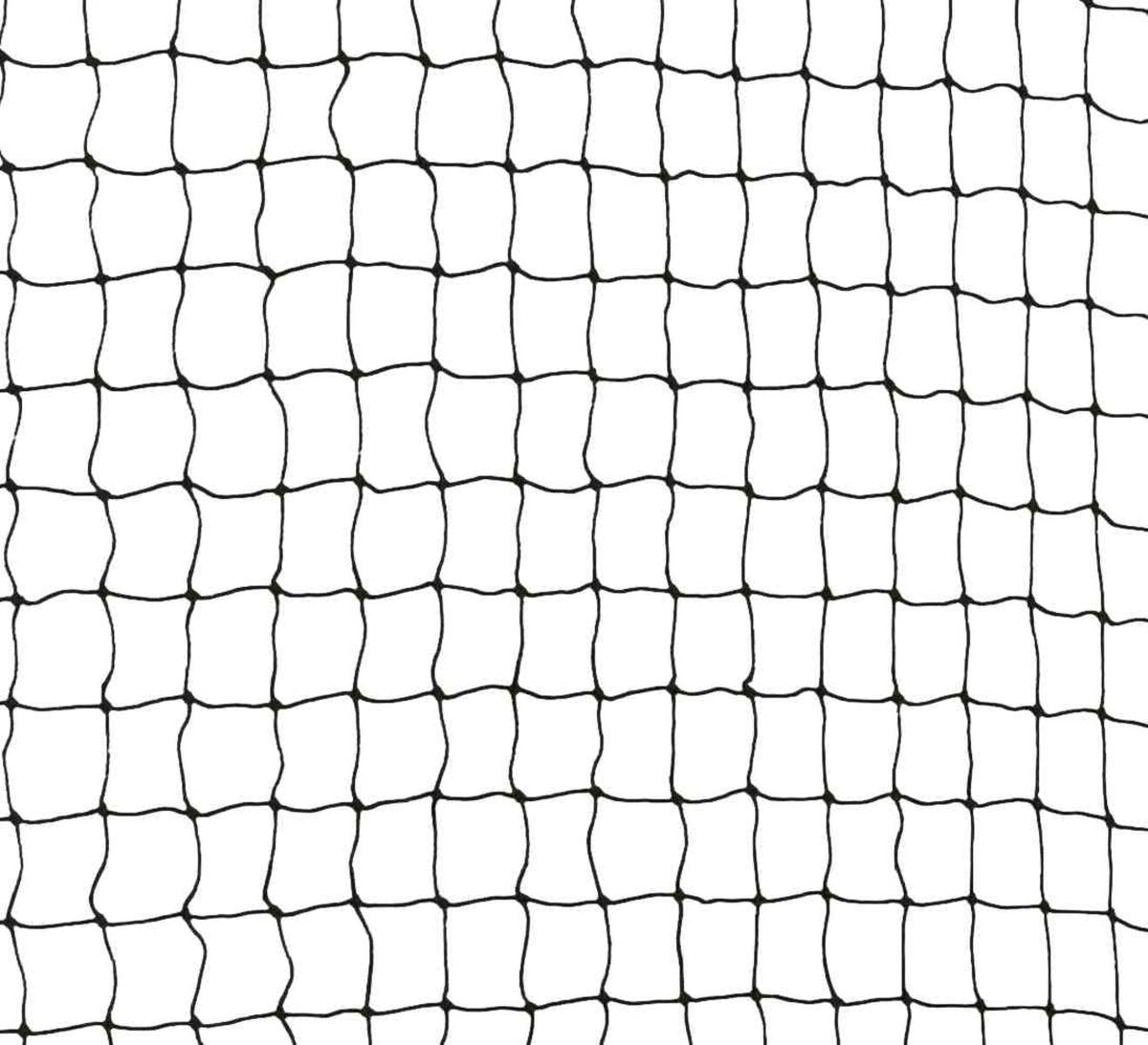 Ein schwarzes, quadratisches Netz mit regelmäßigen Maschen ist auf weißem Hintergrund zu sehen.