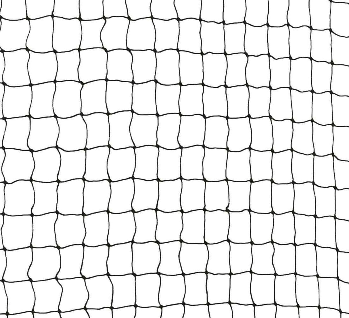 Ein schwarzes, quadratisches Netz mit regelmäßigen Maschen ist auf weißem Hintergrund zu sehen.