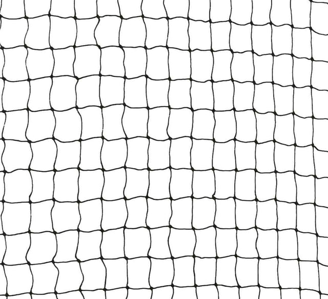 Ein schwarzes, quadratisches Netz mit regelmäßigen Maschen ist auf weißem Hintergrund zu sehen.