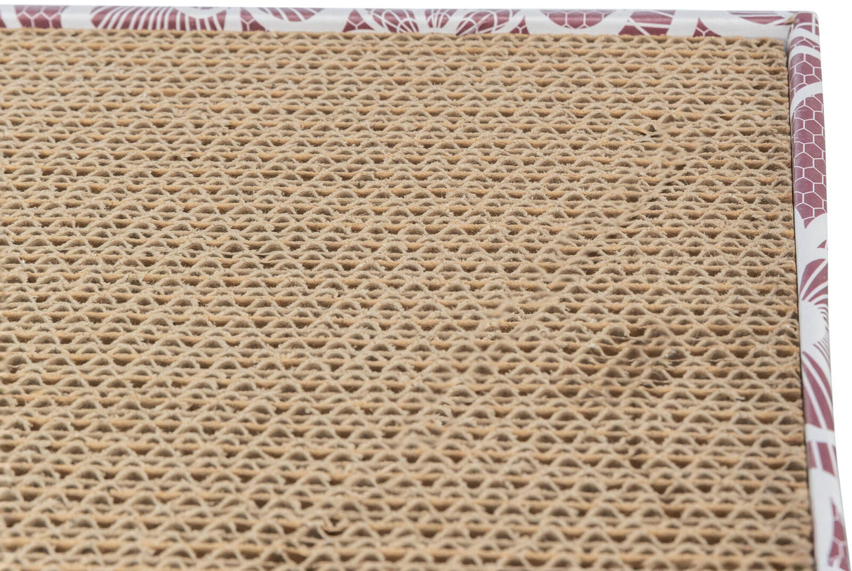 PHO_PRO_DET_CLIP_48005-3