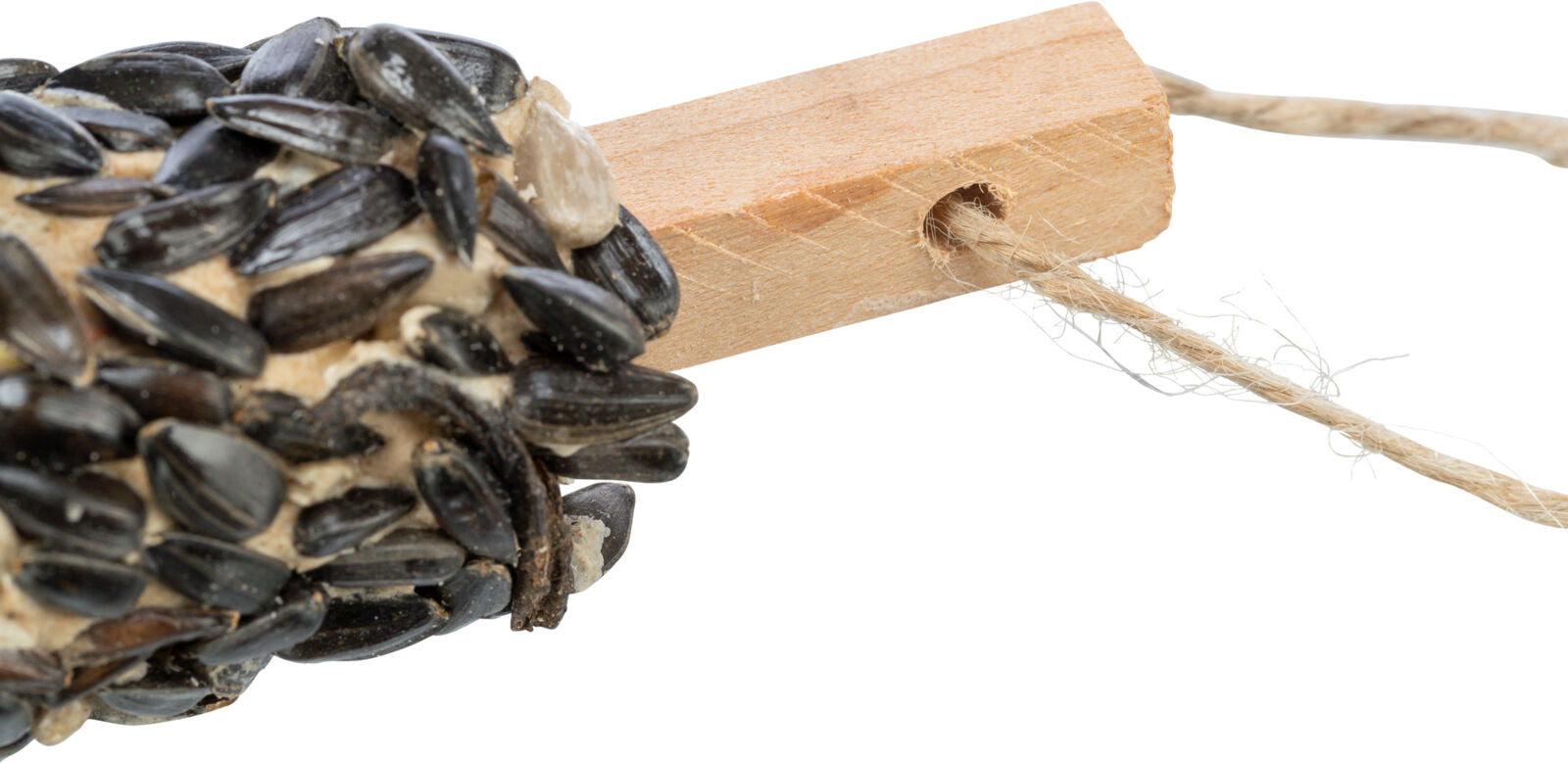Holzstab mit schwarzem Sonnenblumenkern, von Faden durchzogen.