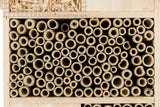 Dicht gepackte Röhrchen in einem Holzkasten mit einem Drahtgitter darüber, oben sind Holzspäne sichtbar.
