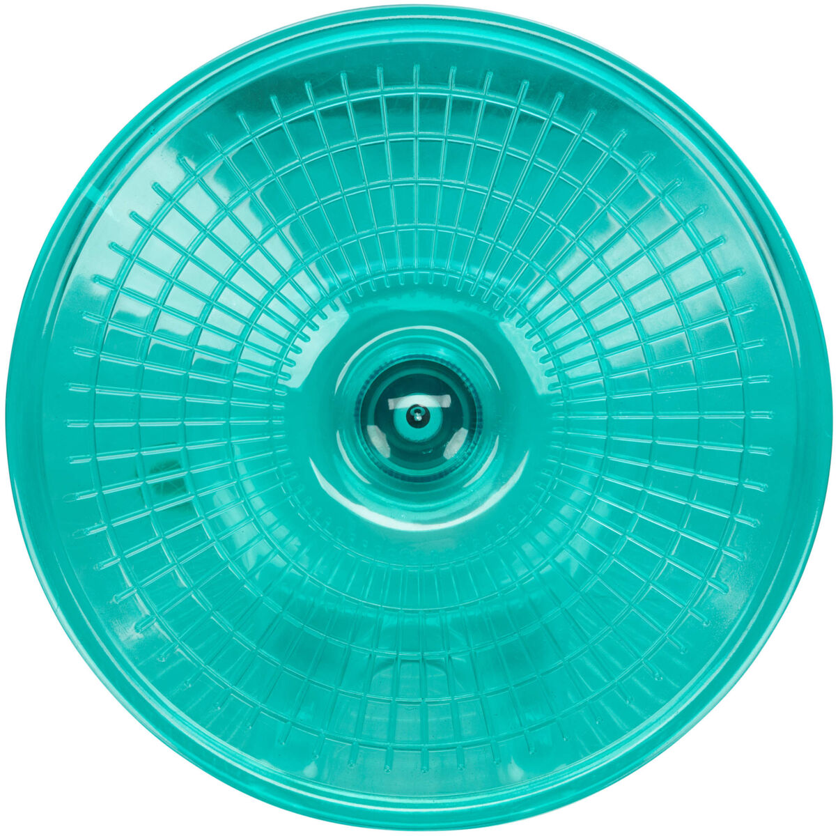 Rundes, türkisfarbenes Plastikobjekt mit konzentrischen Kreisen und Gitterstruktur, oberhalb zentraler Vertiefung.