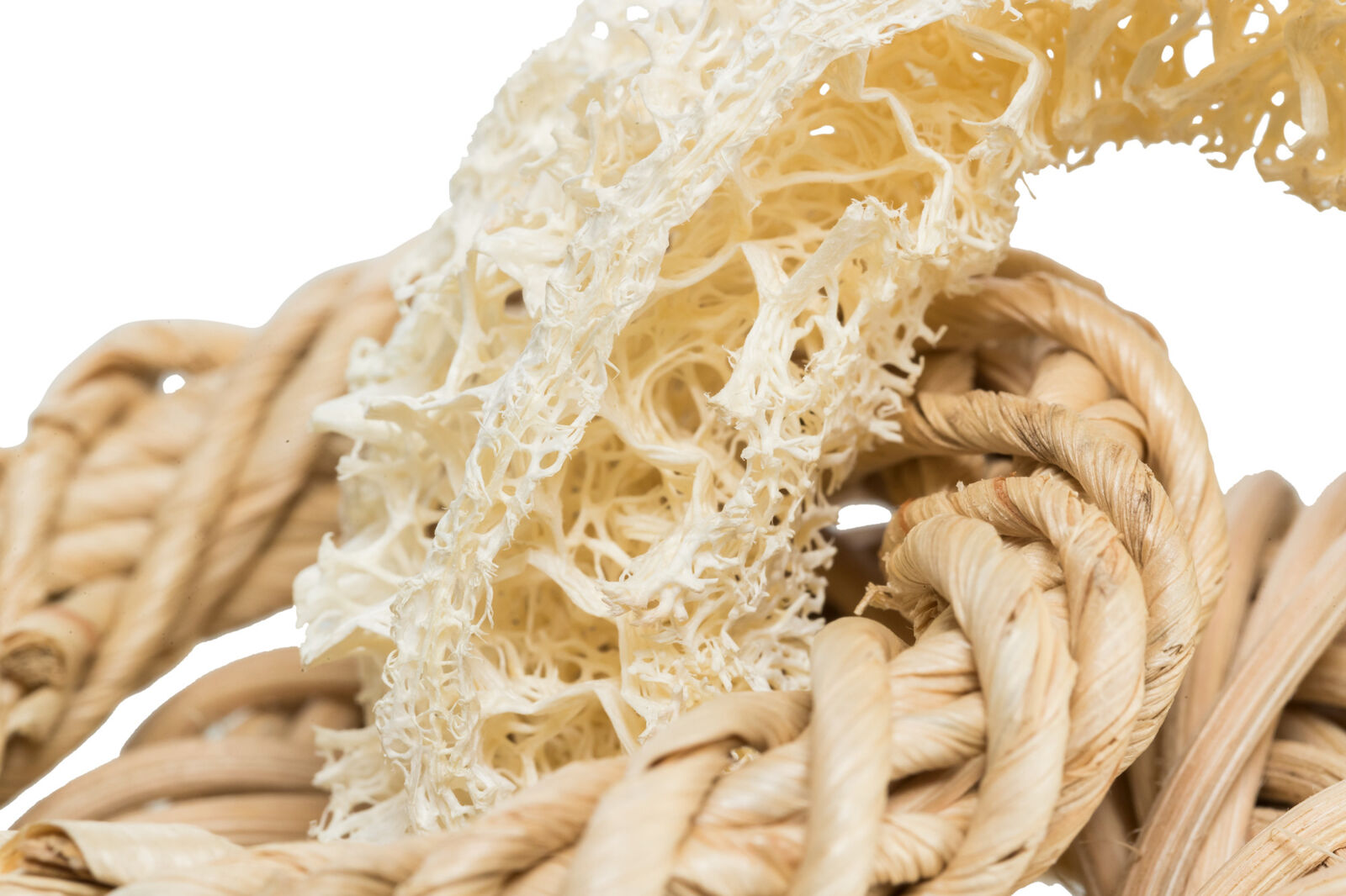 Nahaufnahme von geflochtenem beigen Seil mit strukturierter, schwammartiger Oberfläche in der Mitte.