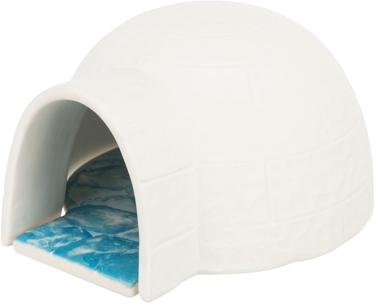 Weißes Iglu aus Kunststoff mit blauer Innenfläche und runder Öffnung, seitlich fotografiert.