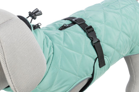 Mintgrüner Hundemantel mit schwarzen Schnallen und Riemen auf einem beigen Hundemodell montiert.