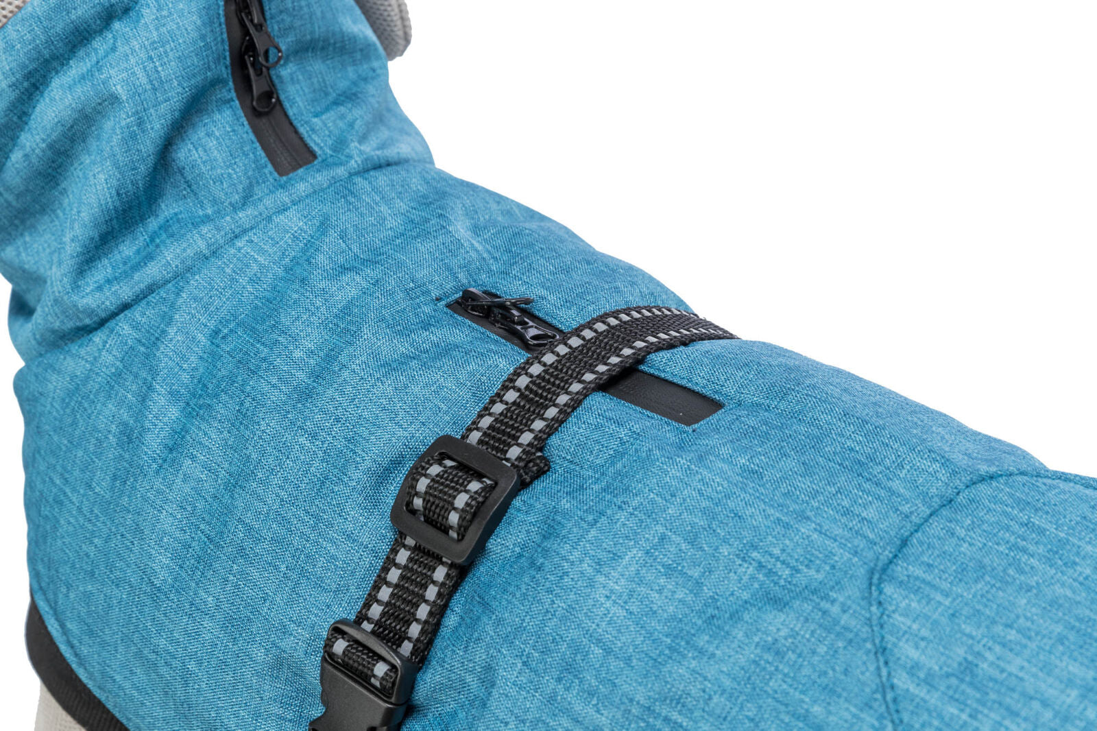 Nahaufnahme eines blauen Hundemantels mit Reißverschluss und schwarzer, reflektierender Schnalle.