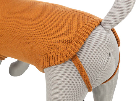 Ein graues Hundemodell trägt einen gestrickten, orangefarbenen Hundemantel mit Beinschlaufe.