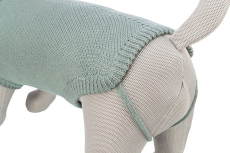 Ein beiger Hundemantel mit grünem Strickmuster ist auf einem Hundemodell zu sehen.