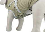 Beige Hundemantel mit hellgrauen Details und Schnallen auf einem weißen Stoffmodell mit Netzstruktur.