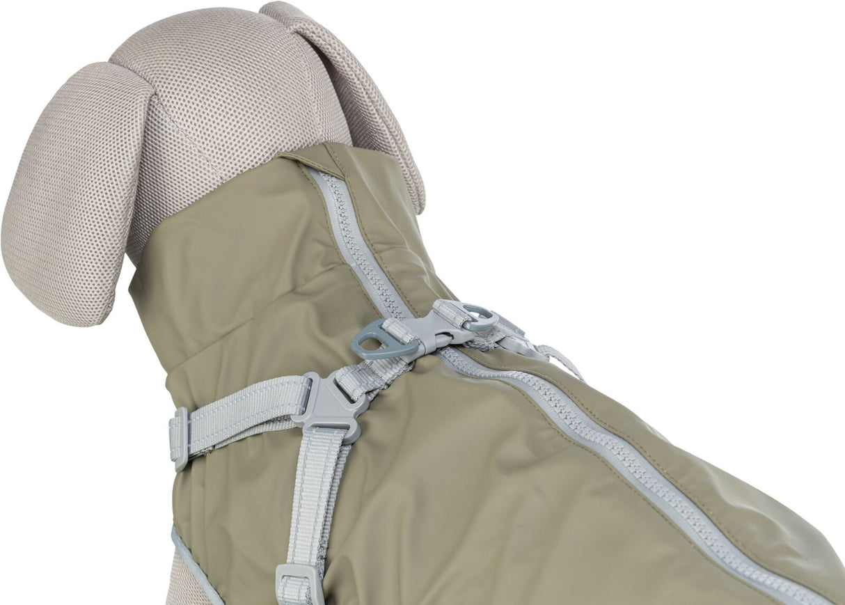 Beigefarbene Hundepuppe trägt einen olivgrünen Hundemantel mit grauem Reißverschluss und verstellbaren Schnallen.