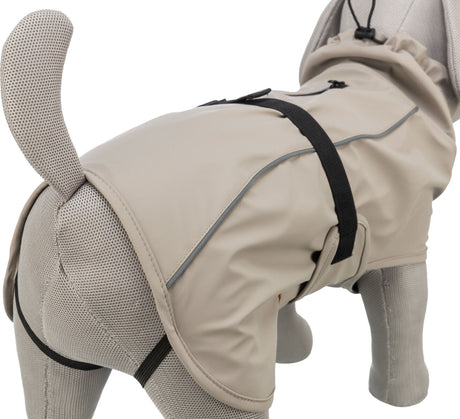 Beigefarbener Hundemantel mit schwarzem Gurt auf einem Modell, das die Rückansicht des Mantels zeigt.