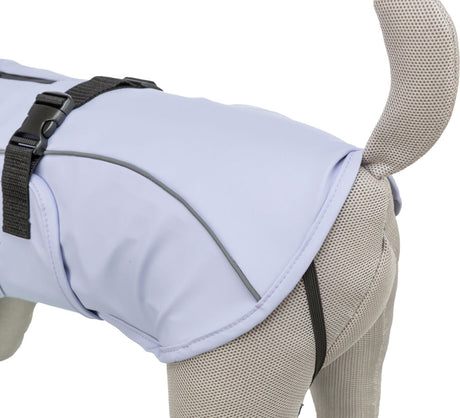 Ein hellgrauer Hundemantel mit schwarzem Gurt um den Rumpf auf einem beigen Stofftiermodell.