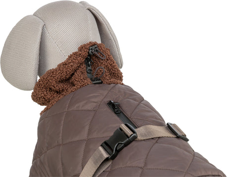 Grauer Hundemantel mit braunem Kragen und schwarzen Reißverschlüssen auf einem Hundegeschirrimitat.