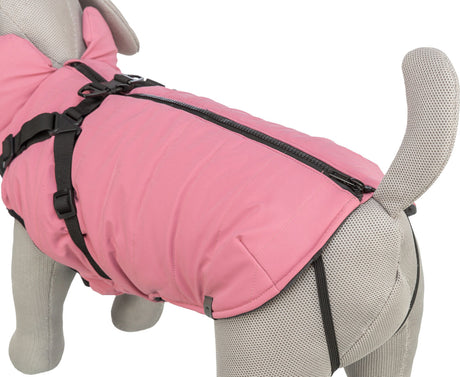 Ein graues Hundemodell trägt einen rosa Hundemantel mit schwarzem Reißverschluss und Riemen.