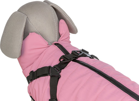 Ein pinkfarbener Hundemantel mit Reißverschluss und schwarzen Schnallen, auf einem grauen Hundemodell präsentiert.