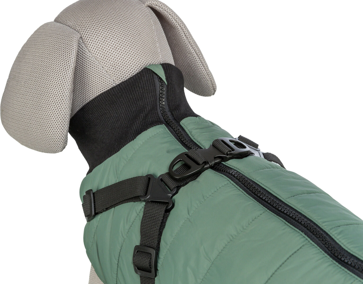 Hundefigur in einem grünen Mantel mit schwarzem Reißverschluss und Gurtsystem, zeigt Rückansicht des Designs.