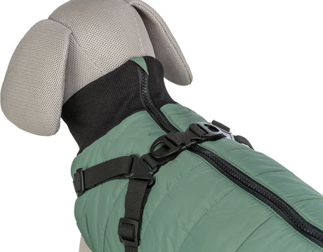 Hundefigur in einem grünen Mantel mit schwarzem Reißverschluss und Gurtsystem, zeigt Rückansicht des Designs.