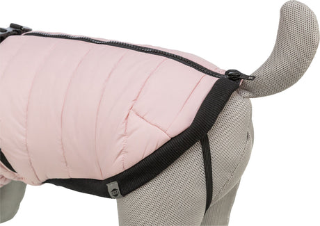 Hundemantel in Rosa mit schwarzem Saum und Reißverschluss auf einem Hundemodell.