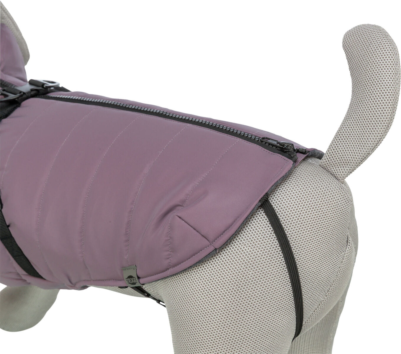 Graues Stofftier trägt lila Hundemantel mit Reißverschluss und Gurten, der auf dem Rücken geschlossen ist.