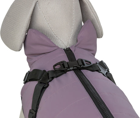 Hundemantel in Lila mit schwarzem Reißverschluss und Clipverschlüssen auf einem grauen Hundemodell.