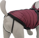 Graues Hundemodell trägt rotbraunen Hundemantel mit schwarzem Saum und Reißverschluss.