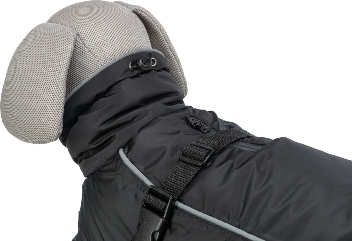 Ein graues, strukturiertes Hundemodell trägt einen schwarzen Mantel mit schwarzem Verschluss und reflektierenden Elementen.