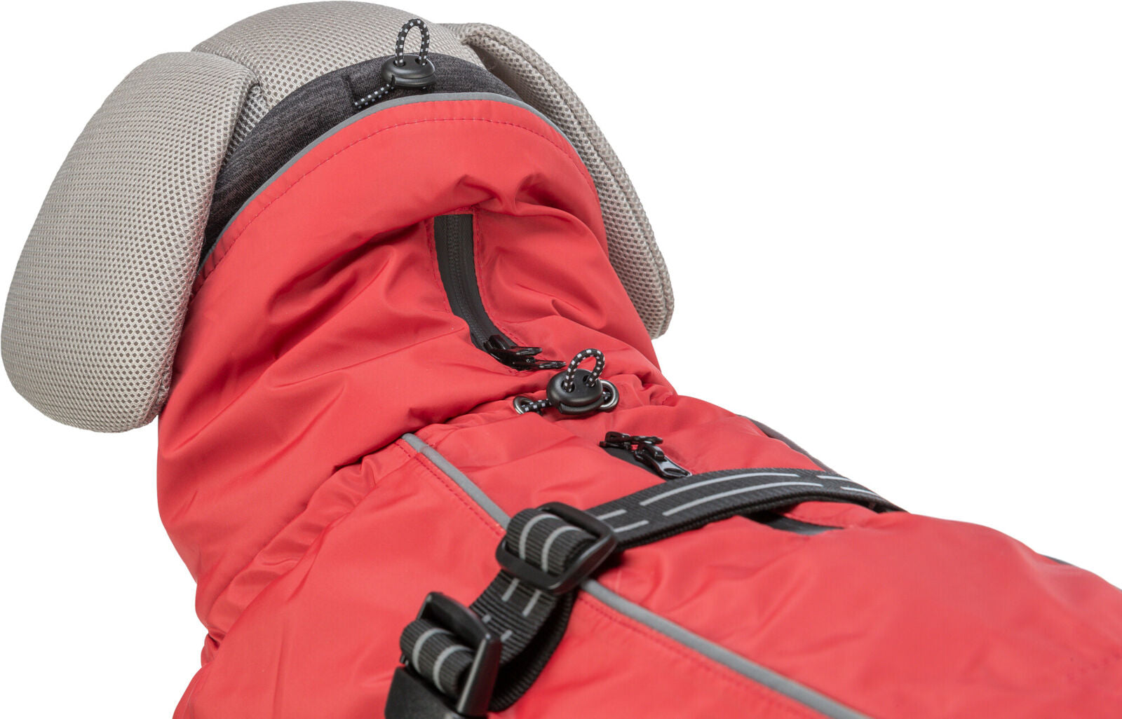 Roter Hundemantel mit schwarzen Reißverschlüssen und Riemen, graue Kapuze, Nähte und Details gut sichtbar.