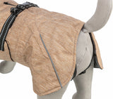 Hellbrauner Hundemantel mit schwarzem Riemen und Schnalle auf einem grauen Hundemodell.